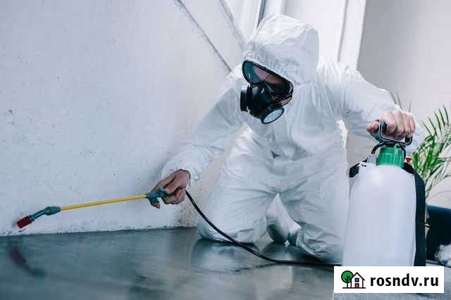 Дезинсекция Новороссийск - изображение 1