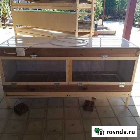 Брудер Кулешовка - изображение 1