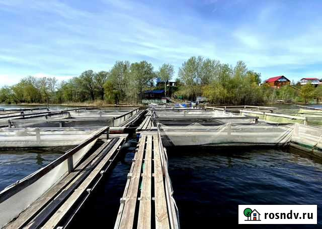 Садок для выращивания осетра Красноярск - изображение 1