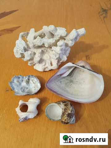 Набор для аквариума Кемерово - изображение 1