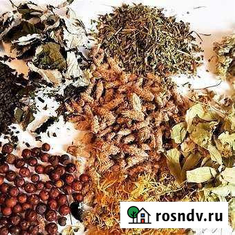 Антивирус бленд трав для укрепления иммунитета Калининград - изображение 1