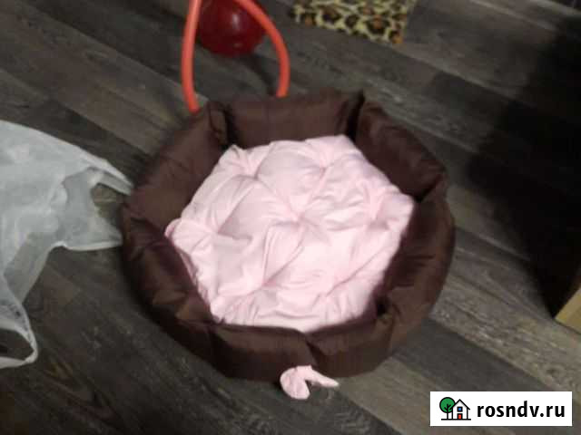 Лежанка для кошки Нижний Новгород - изображение 1