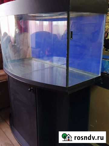 Шикарный аквариум 200л с подсветкой и тумбой Челябинск - изображение 1