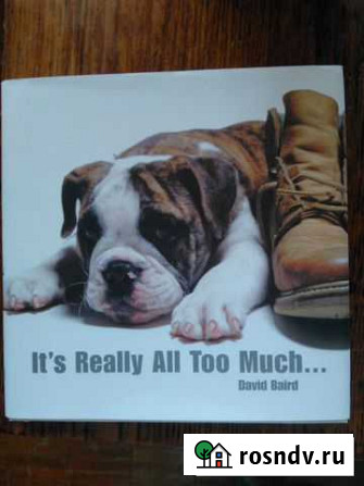 Its really all too much. by David Baird Петрозаводск - изображение 1