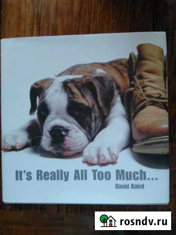 Its really all too much. by David Baird Петрозаводск - изображение 1