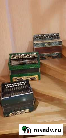 Баян Креминне Оренбург - изображение 1