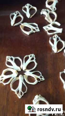 Кулон из морской ракушки Сочи - изображение 1