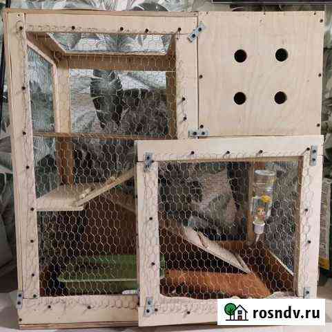 Клетка для грызунов Екатеринбург