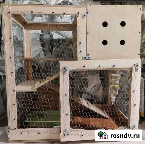 Клетка для грызунов Екатеринбург - изображение 1