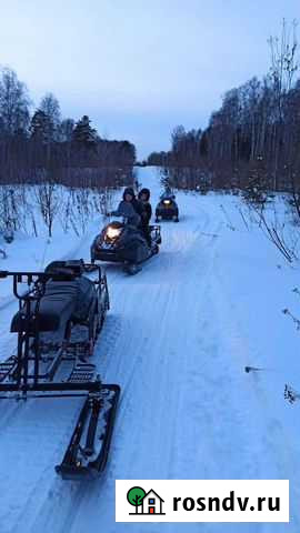 Миниснегоход 15л.с Лоскутово - изображение 1