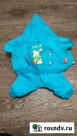 Одежда для собак Раменское - изображение 1