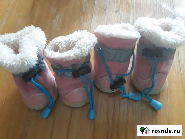 Обувь для собак Хабаровск - изображение 1