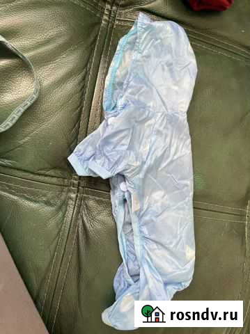 Дождивик на маленькую собаку Нижний Новгород - изображение 1