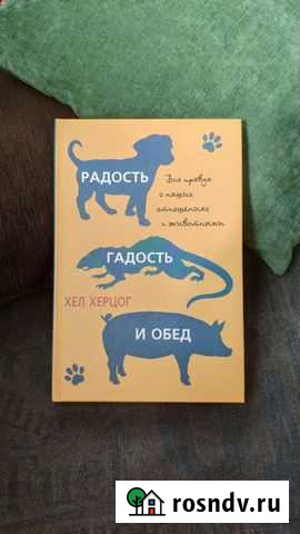 Радость, гадость и обед Воронеж - изображение 1