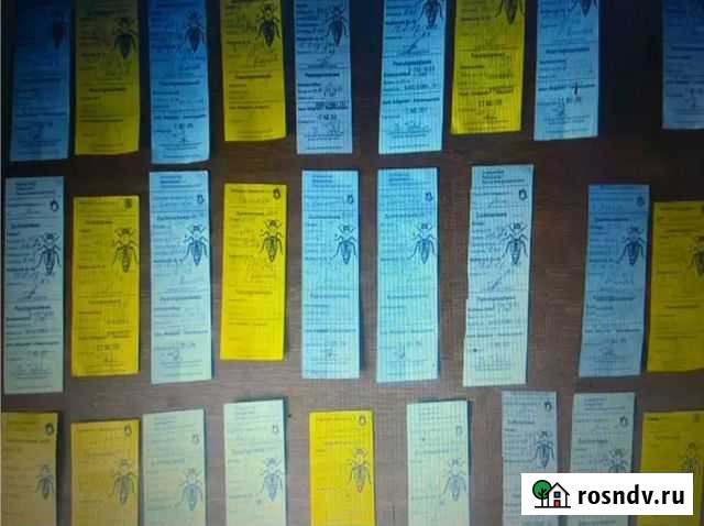 Принимаем заказы на Пчеломаток Бакфаст F1 2022г Майкоп - изображение 1