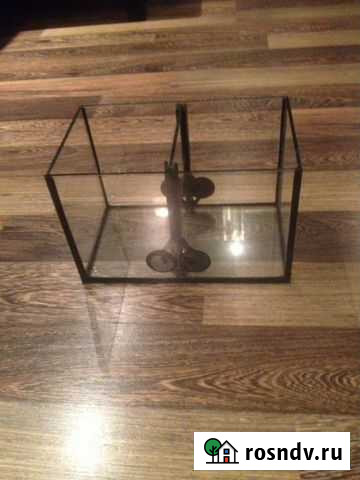 Аквариум мини Новосибирск - изображение 1