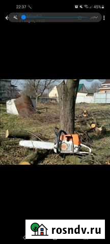 Спил деревьев с вывозом Таганрог - изображение 1