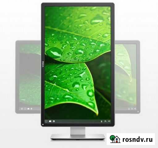 Монитор 4K, Dell P2415Q Новосибирск - изображение 1
