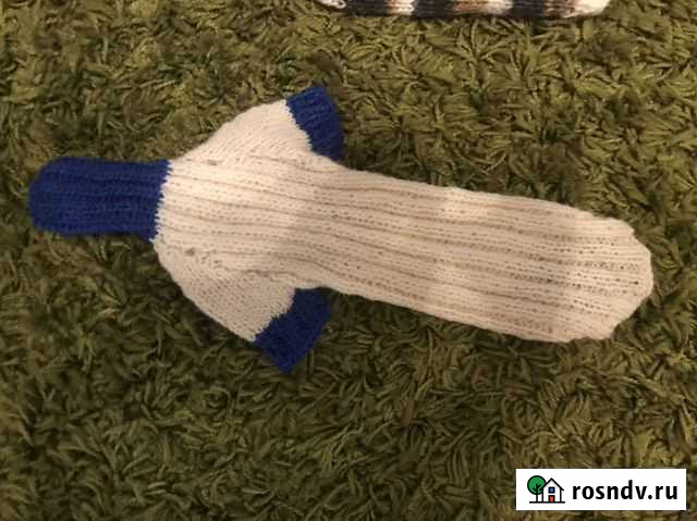 Одежда для животных Красноярск - изображение 1