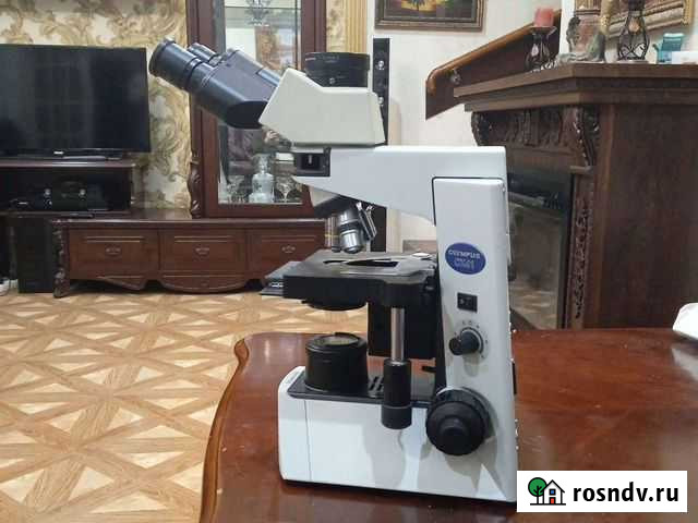 Микроскоп olympus cx41 Москва - изображение 1