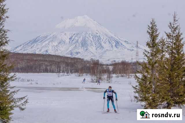 Индивидуальные тренировки на лыжах Барнаул - изображение 1