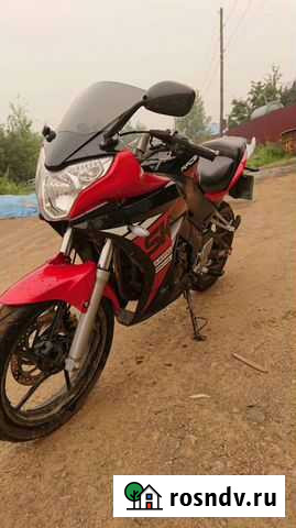 Racer skyway 300 Кодинск - изображение 1