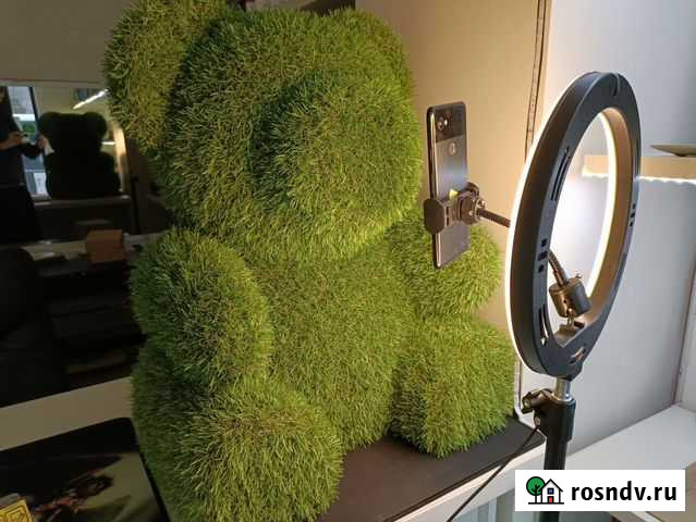 Кольцевая лампа 29 см+штатив 2метра Калининград - изображение 1