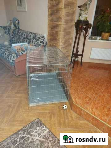 Клетка вольер для собак бу Калининград - изображение 1