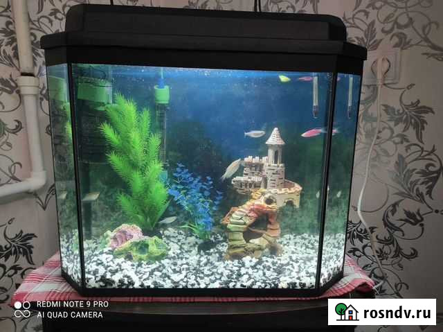 Аквариум Казань - изображение 1