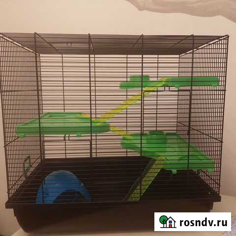 Клетка Гатчина - изображение 1