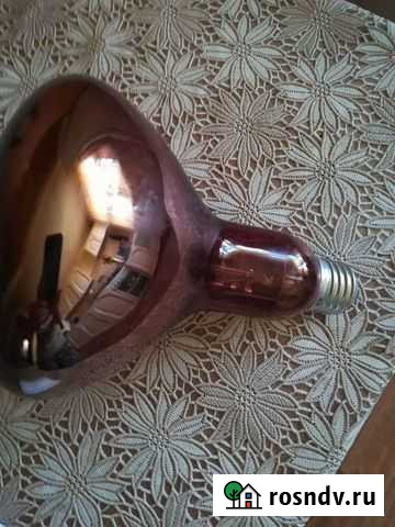 Лампа для куриц Лежнево - изображение 1