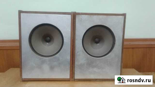 Акустическая система Россия Карасук - изображение 1