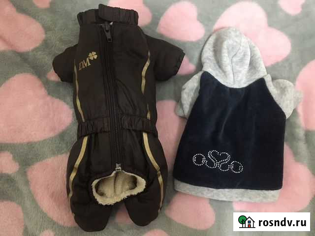 Одежда для маленьких собак Красноярск - изображение 1