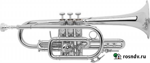 Корнет Bach Москва - изображение 1