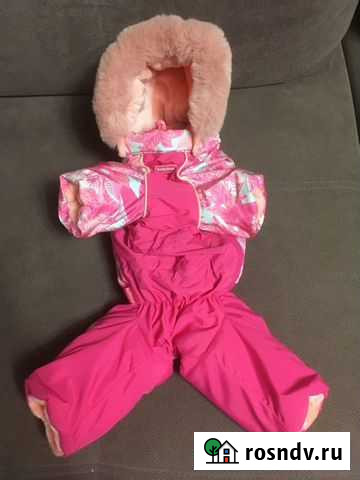 Одежда для собак мелких пород Красноярск - изображение 1