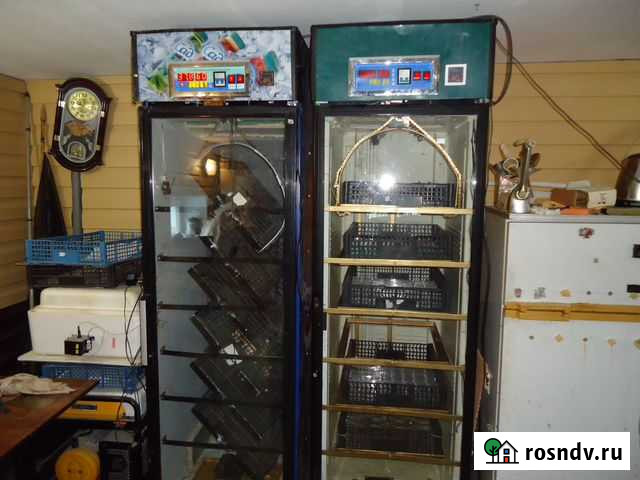 Инкубаторы,ящик холодильника для инкубатора Пермь - изображение 1