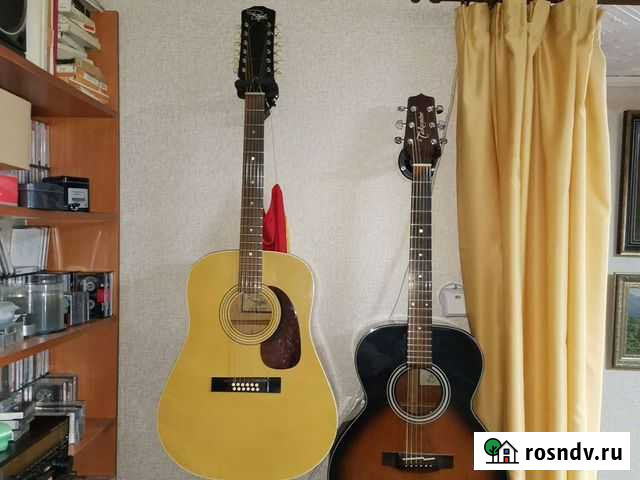 Акустическая гитара Regal USA Петропавловск-Камчатский - изображение 1