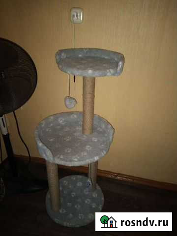 Когтеточка Серов - изображение 1