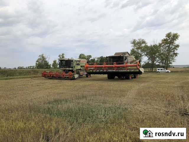 Уборка урожая 2022 Плешаново - изображение 1