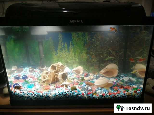 Аквариум 50 литров. С встроенной системой фильтрац Набережные Челны - изображение 1