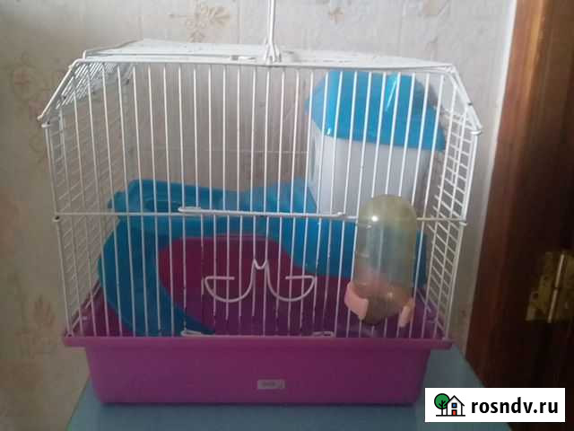 Клетка Майкоп - изображение 1