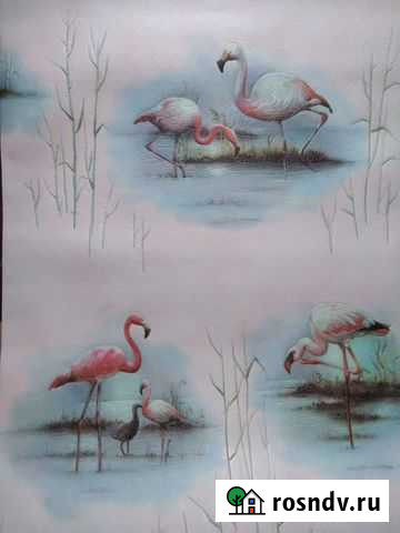 Обои виниловые Калининград - изображение 1