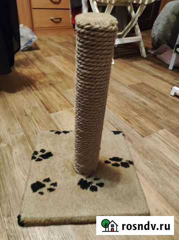 Когтеточка Ростов-на-Дону - изображение 1