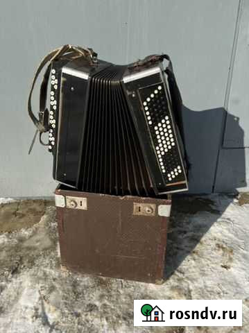 Баян Липецк - изображение 1