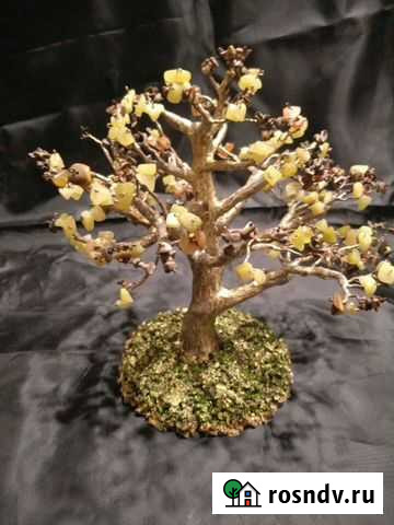 Дерево счастья нефрит тигровый глаз Майкоп - изображение 1