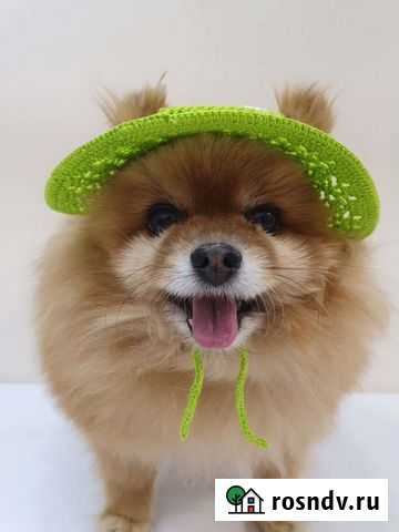 Шляпка для собак Самара - изображение 1