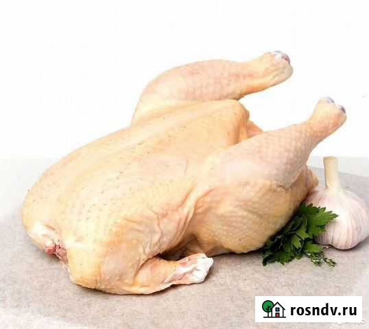 Курица гост для магазинов и ресторанов Ростов-на-Дону - изображение 1