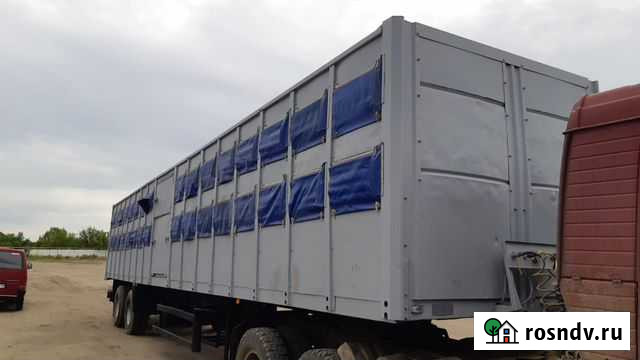 Полуприцеп для перевозки скота Тонар 98261 Кемерово - изображение 1