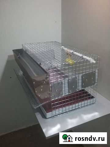 Клетки для перепелов Ростов-на-Дону - изображение 1