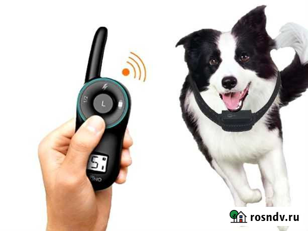 Электронный ошейник, антилай, GPS для собак Уфа - изображение 1